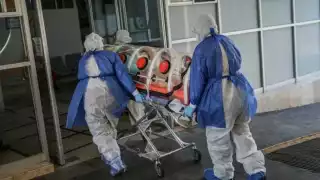 Yucatán se encuentra entre las entidades del país con casos del 'perro del infierno' en México