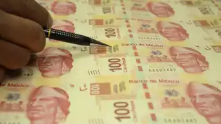 ¿Cómo reconocer los billetes falsos?