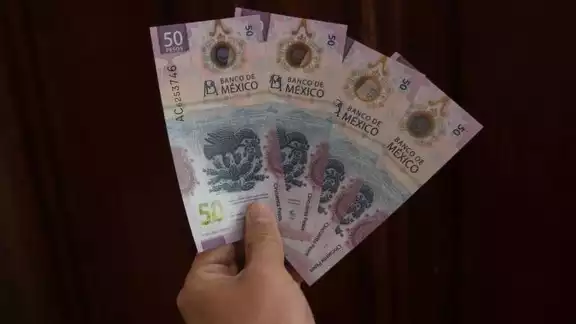 Este billete de ajolote tiene un código sagrado y se vende en 4 millones de pesos mexicanos
