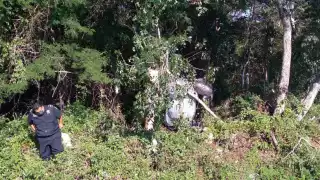 Un neumático reventado pude ser el causante del accidente que llevo al automóvil a quedar entre la maleza