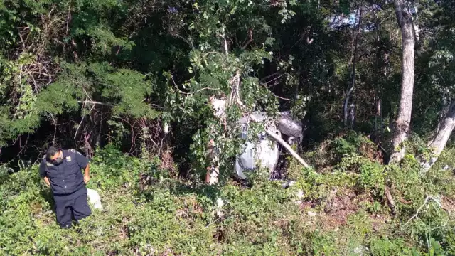 Un neumático reventado pude ser el causante del accidente que llevo al automóvil a quedar entre la maleza