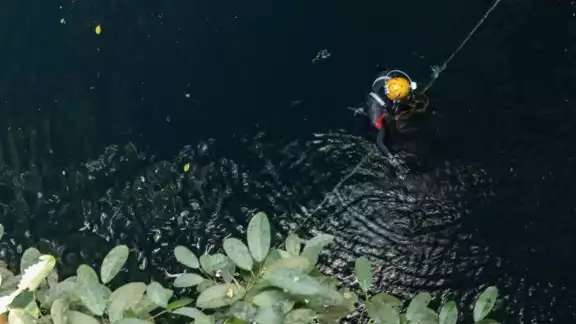 Estudiantes, autoridades e iniciativa privada retiran 152 kilogramos de desperdicios en el Xi’im Há Estudiantes, autoridades e iniciativa privada retiran 152 kilogramos de desperdicios en el Xi’im Há