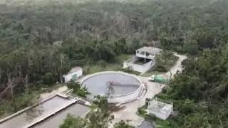 Las personas que realizaron el hallazgo se dieron a la tarea de tomar la evidencia en un video