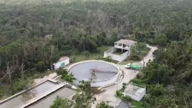 Las personas que realizaron el hallazgo se dieron a la tarea de tomar la evidencia en un video