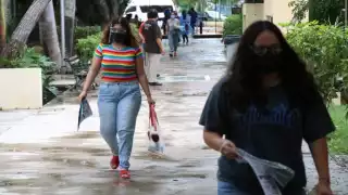 El programa se enfoca en realizar cursos, talleres y pláticas con maestros para detectar estas necesidades