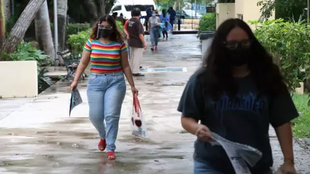 El programa se enfoca en realizar cursos, talleres y pláticas con maestros para detectar estas necesidades