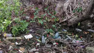 Deberá sustituir los productos en plástico que se distribuyen
en las zonas vulnerables.