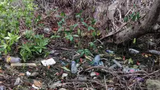 Los bordes de la laguna Makax y otros cuerpos de agua del municipio quedaron llenos de residuos, pues el agua de mar subió hasta 70 cm por el eclipse
