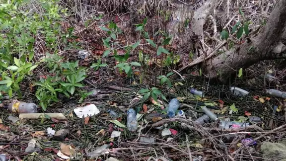 Los bordes de la laguna Makax y otros cuerpos de agua del municipio quedaron llenos de residuos, pues el agua de mar subió hasta 70 cm por el eclipse
