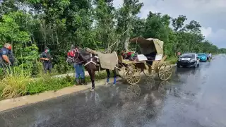El operador del carruaje empleó sus estrategias para calmar al animal, sufriendo lesiones en los brazos