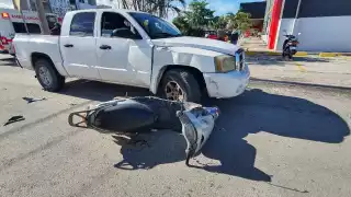 Los hechos se registraron  sobre la avenida 30 con calle 2 norte de la colonia centro de Cozumel