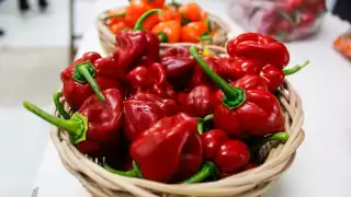   Anuncian la feria del chile habanero de Mérida: Cuándo y dónde se realizará  