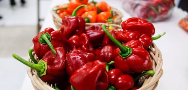 Mérida celebra al chile habanero con cultura, sabor y tradición en el corazón del Centro Histórico