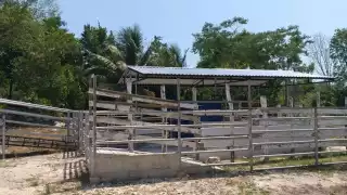 José Dolores Cob Mendoza fue el encargado del acondicionamiento pecuario y construcción de manga para corral de manejo de ganado; su funcionamiento es cuestionado