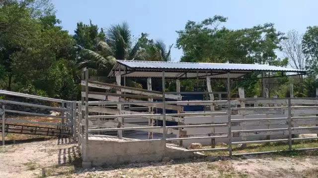 José Dolores Cob Mendoza fue el encargado del acondicionamiento pecuario y construcción de manga para corral de manejo de ganado; su funcionamiento es cuestionado