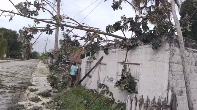 En la comunidad de Santa Lucía, reportaron daños materiales, e incluso en algunas viviendas les cayeron ramas en el techo ramas