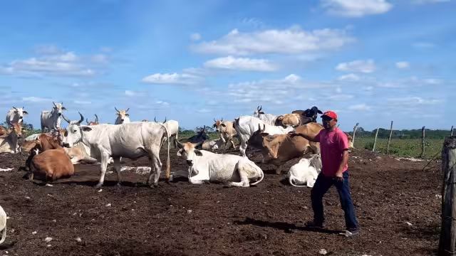 Fotos: Raquel Margarita Huerta