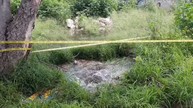 Foto: Julio Jiménez Mendoza