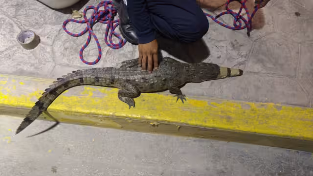 FOTOS: Miguel Améndola