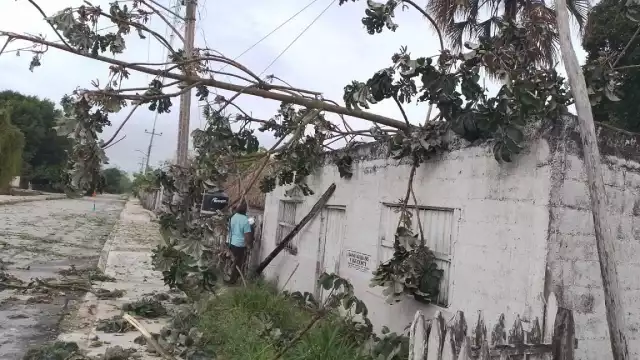 En la comunidad de Santa Lucía, reportaron daños materiales, e incluso en algunas viviendas les cayeron ramas en el techo ramas