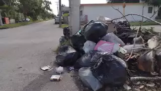 Uno de los puntos afectados y que da mala imagen a los visitantes es el camellón central de la avenida Lázaro Cárdenas, con la calle 66
