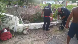 Perrito cae a un cenote en Yucatán y lo rescatan a rapel