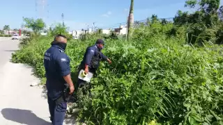 Foto: Rafael García