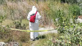 Crimen organizado en Quintana Roo cobra la vida de 60 personas en agosto