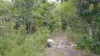 Autoridades manejan con hermetismo el hallazgo de siete cuerpos en Yucatán