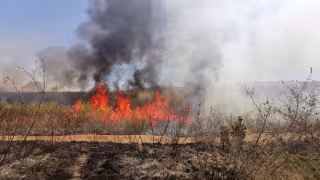 Vinculan a agricultores foráneos con desmonte e incendios en Campeche