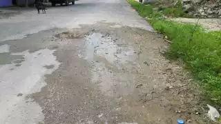 Los asentamientos con mayor número de quejas son: Constituyentes, Huayumil, Franicsco May, entre otras