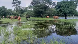 Foto: Fernando Kantún