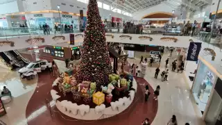 ¿Sabes de dónde viene la tradición del arbolito navideño?, aquí te explicamos