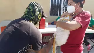 Los sujetos fueron vistos en la Benito Juárez García y Fco. I. Madero de Progreso