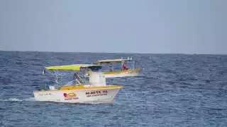 Autoridades hicieron un llamado de responsabilidad a permanecer en casa, partir del mediodía. Foto: Karina Carrión