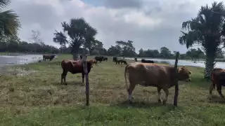 Foto: Fernando Kantún