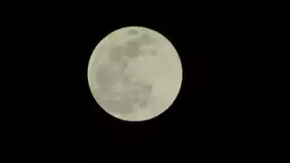 La Superluna Rosa se observó en la cúspide de la noche de ayer