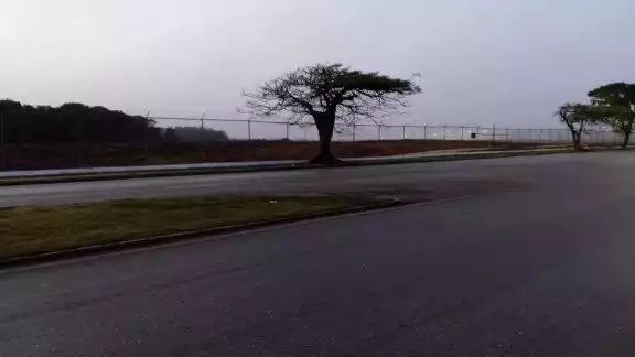 La neblina causó afectaciones en el aeropuerto de Mérida