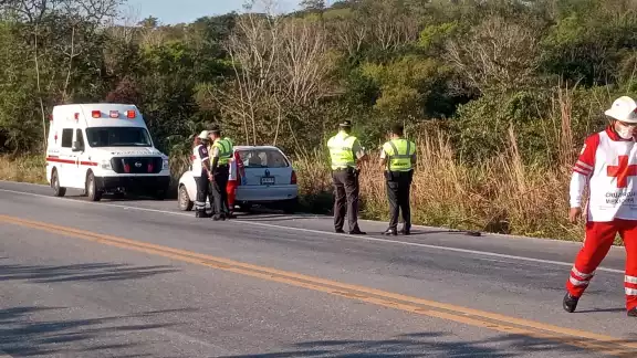 Las autoridades presumen que “Lazaro” habría muerto al instante y que el conductor huyó a pesar de estar herido