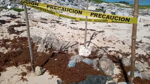 Con este aseguramiento suman 15 ladrillos puestos a disposición de la Fiscalía General del República