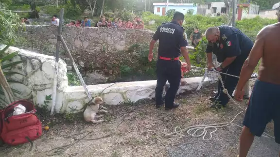 El rescate fue satisfactorio y los bomberos lo localizaron sano y salvo Foto: Víctor Ku El rescate fue satisfactorio y los bomberos lo localizaron sano y salvo Foto: Víctor Ku