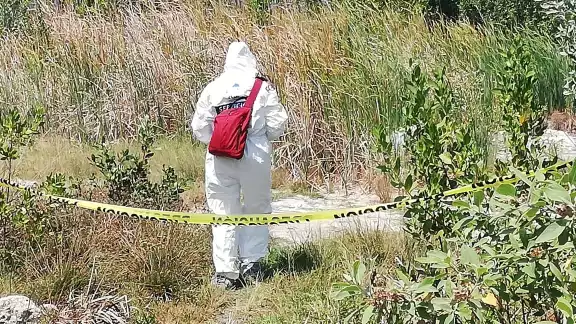 Se presume que la principal causa de los homicidios está ligada al crimen organizado