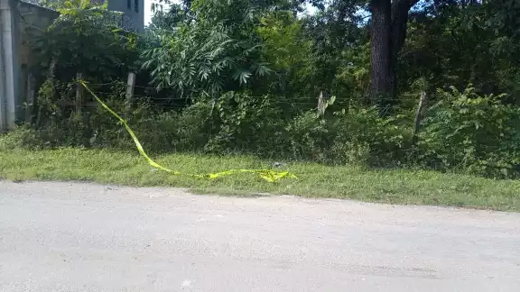 El cadáver del animal fue encontrado colgado en una cerca de malla ciclón de una vivienda de la calle 41 por 2 de la colonia Fertimex. El cadáver del animal fue encontrado colgado en una cerca de malla ciclón de una vivienda de la calle 41 por 2 de la colonia Fertimex.