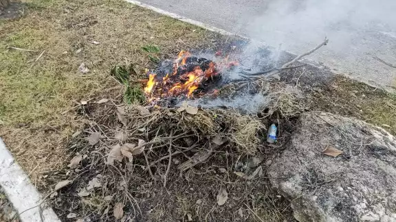 Autoridades de Benito Juárez iniciaron un programa sanitario emergente, donde se contempla la recoja y traslado de la basura Autoridades de Benito Juárez iniciaron un programa sanitario emergente, donde se contempla la recoja y traslado de la basura