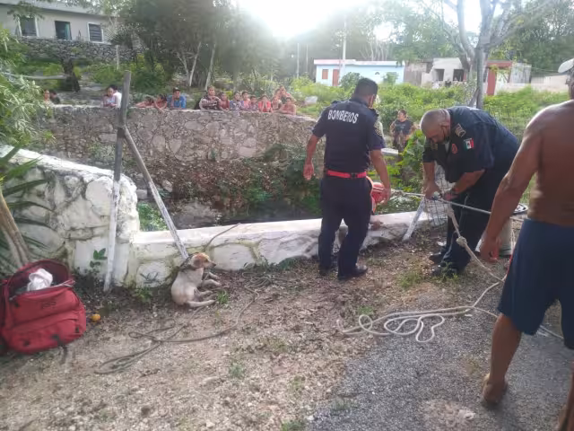 El rescate fue satisfactorio y los bomberos lo localizaron sano y salvo Foto: Víctor Ku