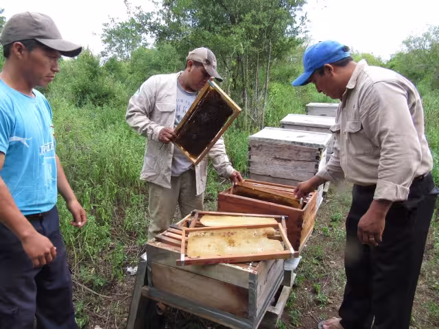 Horticultores reportaron que una persona suele utilizar un dron para rociar agrotóxicos