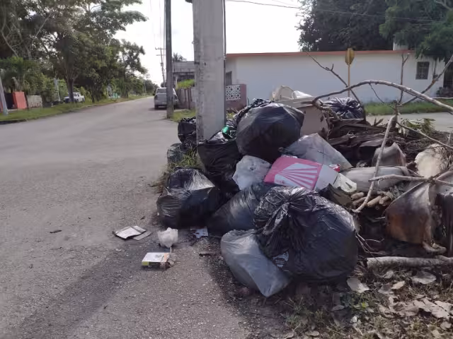 Uno de los puntos afectados y que da mala imagen a los visitantes es el camellón central de la avenida Lázaro Cárdenas, con la calle 66