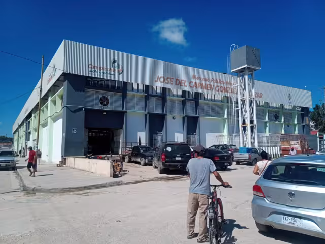 La autoridad sanitaria ordena la desinfección al menos 5 veces al año