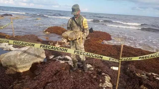 La evidencia fue asegurada y levantada para ser trasladada hacia las instalaciones de la dependencia correspondiente