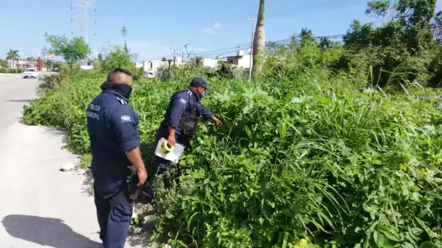 Foto: Rafael García